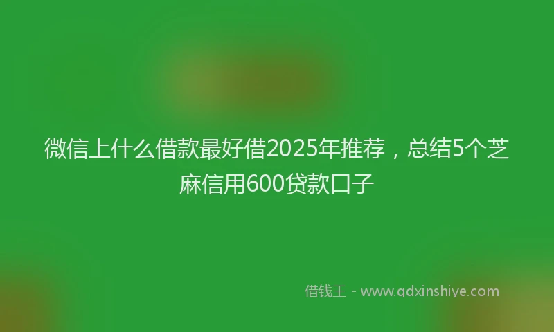 微信上什么借款最好借2025年推荐，总结5个芝麻信用600贷款口子