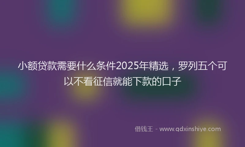 小额贷款需要什么条件2025年精选，罗列五个可以不看征信就能下款的口子