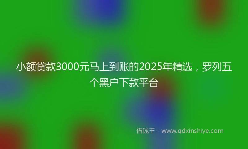 小额贷款3000元马上到账的2025年精选，罗列五个黑户下款平台