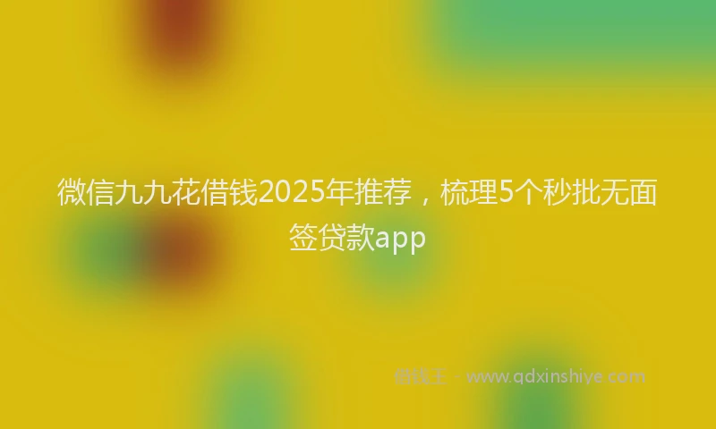 微信九九花借钱2025年推荐，梳理5个秒批无面签贷款app