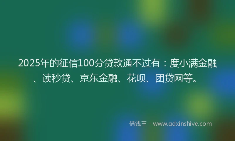 2025年的征信100分贷款通不过有：度小满金融、读秒贷、京东金融、花呗、团贷网等。