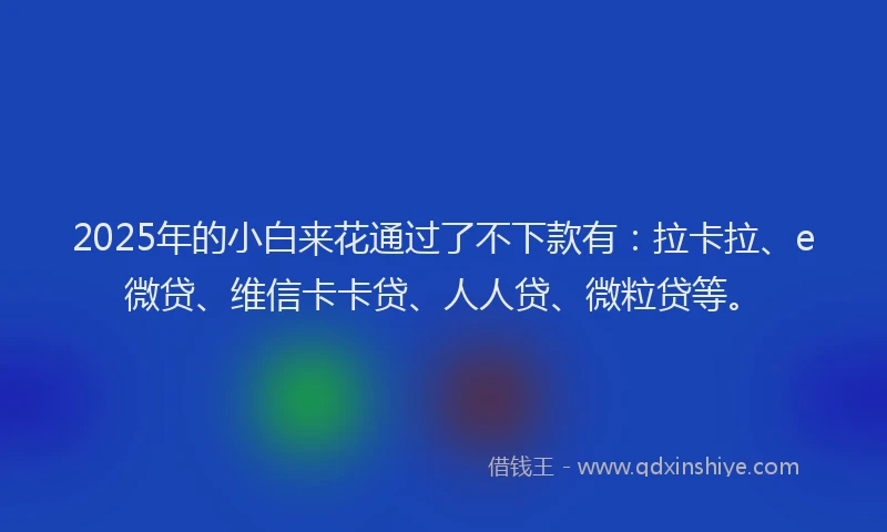 2025年的小白来花通过了不下款有：拉卡拉、e微贷、维信卡卡贷、人人贷、微粒贷等。