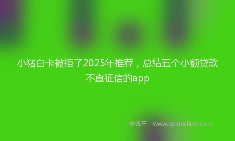 小猪白卡被拒了2025年推荐，总结五个小额贷款不查征信的app