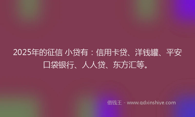 2025年的征信 小贷有：信用卡贷、洋钱罐、平安口袋银行、人人贷、东方汇等。