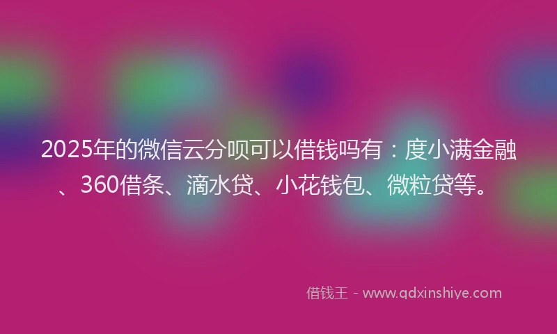 2025年的微信云分呗可以借钱吗有：度小满金融、360借条、滴水贷、小花钱包、微粒贷等。