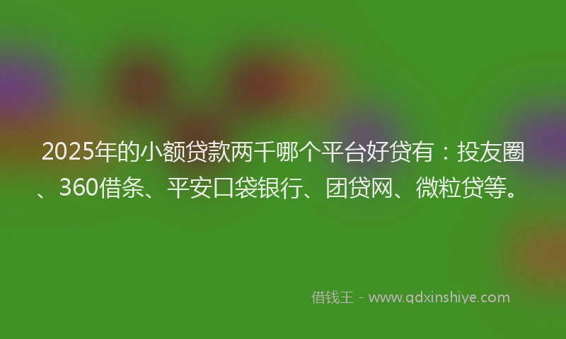 2025年的小额贷款两千哪个平台好贷有：投友圈、360借条、平安口袋银行、团贷网、微粒贷等。
