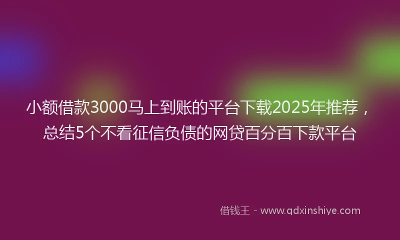 小额借款3000马上到账的平台下载2025年推荐，总结5个不看征信负债的网贷百分百下款平台