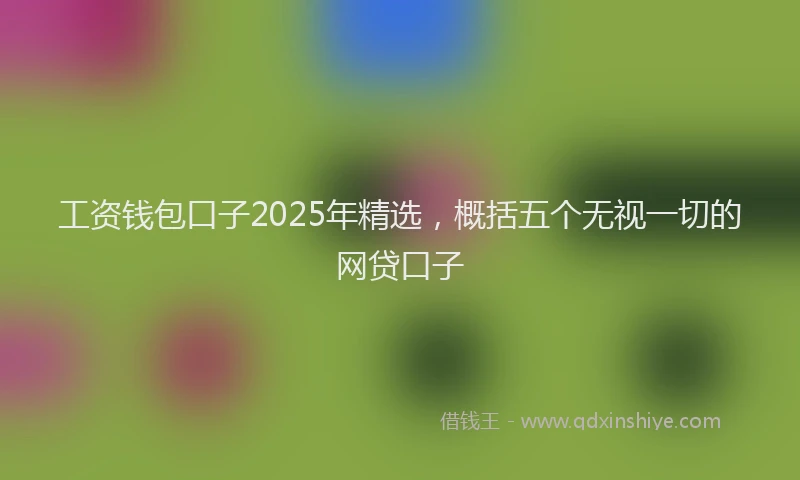 工资钱包口子2025年精选，概括五个无视一切的网贷口子