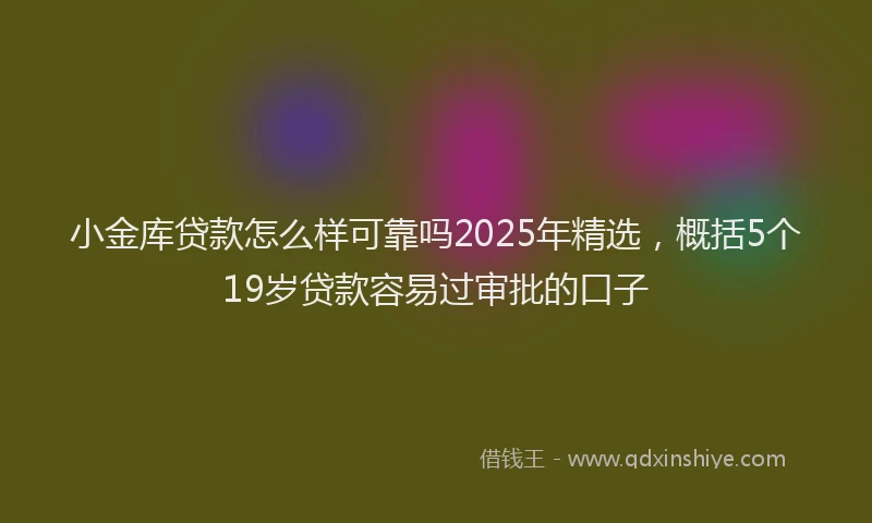 小金库贷款怎么样可靠吗2025年精选，概括5个19岁贷款容易过审批的口子