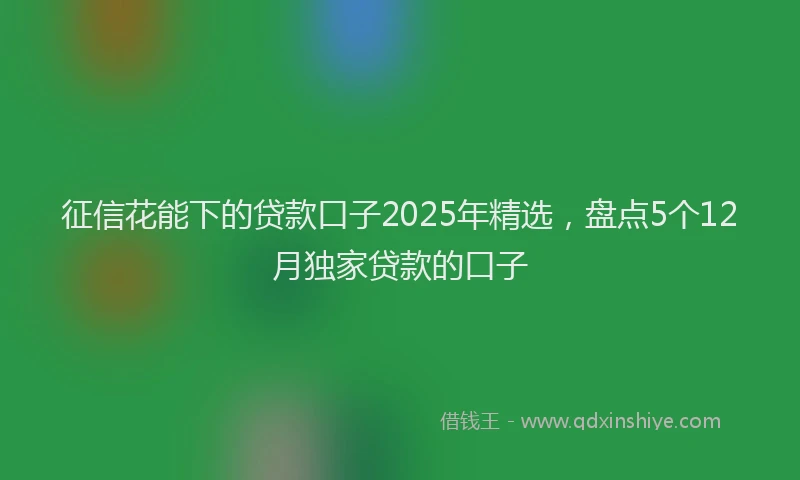 征信花能下的贷款口子2025年精选，盘点5个12月独家贷款的口子