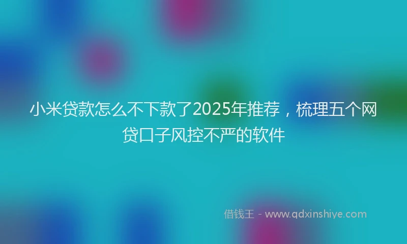 小米贷款怎么不下款了2025年推荐，梳理五个网贷口子风控不严的软件