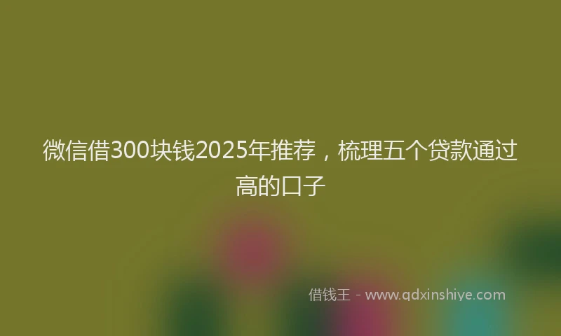 微信借300块钱2025年推荐，梳理五个贷款通过高的口子