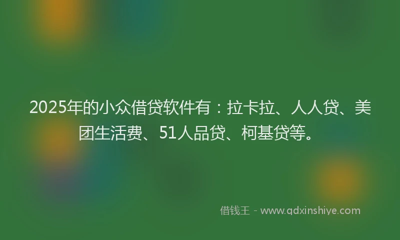 2025年的小众借贷软件有：拉卡拉、人人贷、美团生活费、51人品贷、柯基贷等。
