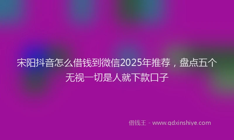 宋阳抖音怎么借钱到微信2025年推荐，盘点五个无视一切是人就下款口子