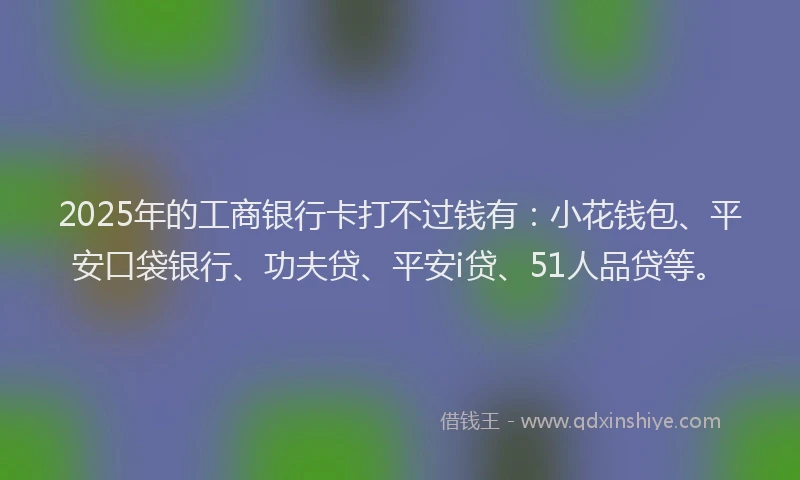 2025年的工商银行卡打不过钱有：小花钱包、平安口袋银行、功夫贷、平安i贷、51人品贷等。