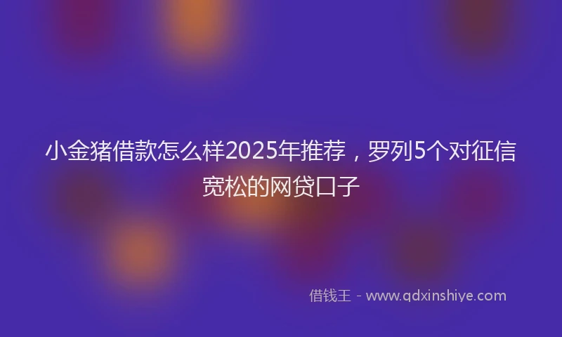 小金猪借款怎么样2025年推荐，罗列5个对征信宽松的网贷口子