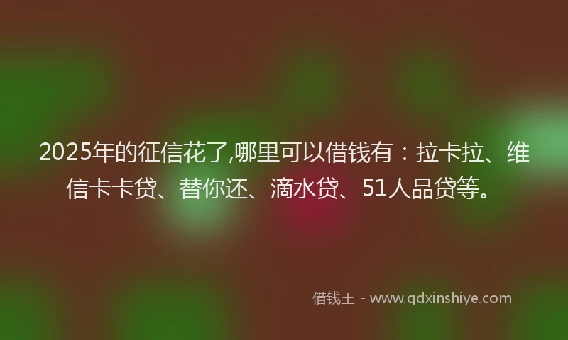2025年的征信花了,哪里可以借钱有：拉卡拉、维信卡卡贷、替你还、滴水贷、51人品贷等。