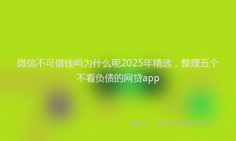微信不可借钱吗为什么呢2025年精选，整理五个不看负债的网贷app