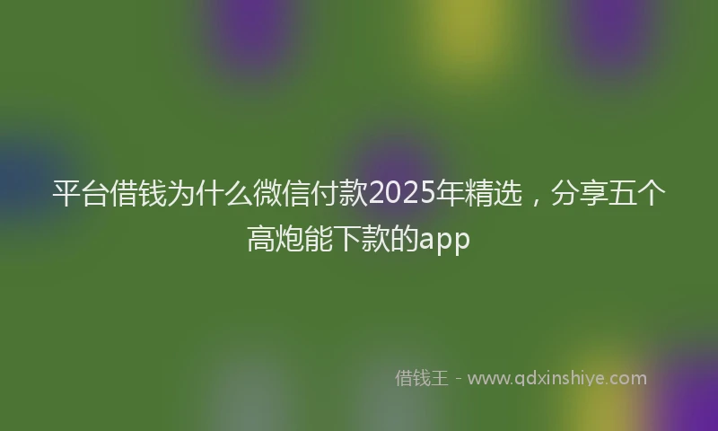 平台借钱为什么微信付款2025年精选，分享五个高炮能下款的app