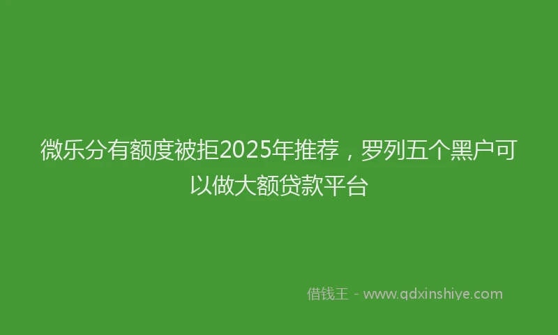 微乐分有额度被拒2025年推荐，罗列五个黑户可以做大额贷款平台