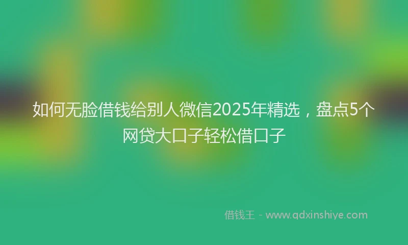 如何无脸借钱给别人微信2025年精选，盘点5个网贷大口子轻松借口子