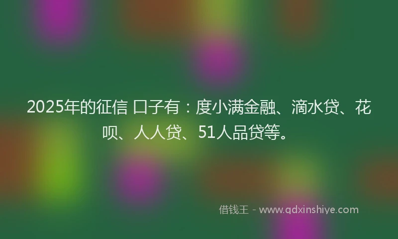 2025年的征信 口子有：度小满金融、滴水贷、花呗、人人贷、51人品贷等。