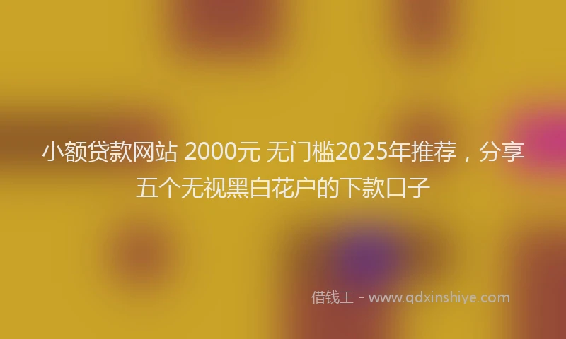 小额贷款网站 2000元 无门槛2025年推荐，分享五个无视黑白花户的下款口子