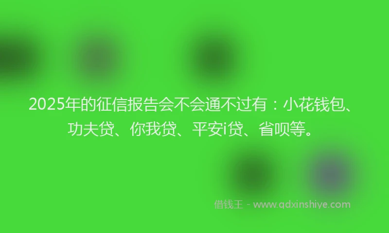 2025年的征信报告会不会通不过有：小花钱包、功夫贷、你我贷、平安i贷、省呗等。