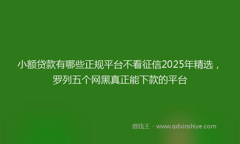 小额贷款有哪些正规平台不看征信2025年精选，罗列五个网黑真正能下款的平台