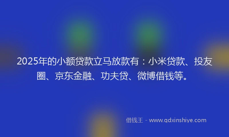 2025年的小额贷款立马放款有：小米贷款、投友圈、京东金融、功夫贷、微博借钱等。