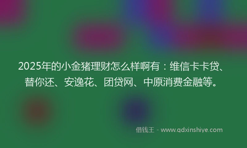 2025年的小金猪理财怎么样啊有：维信卡卡贷、替你还、安逸花、团贷网、中原消费金融等。