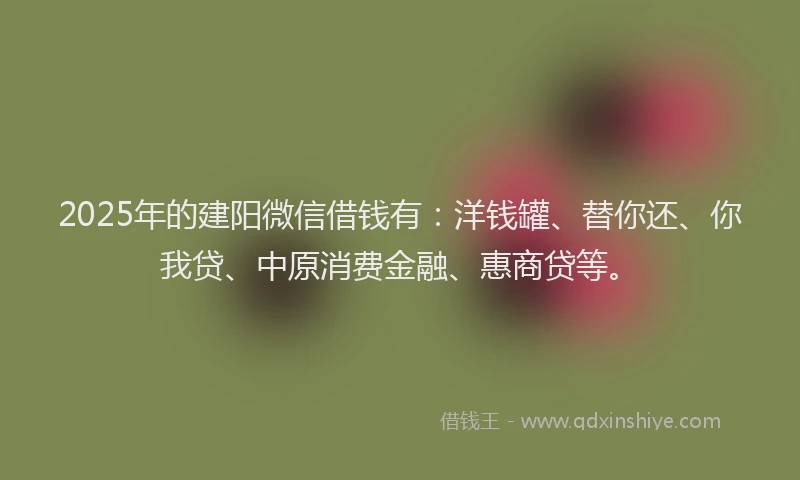 2025年的建阳微信借钱有：洋钱罐、替你还、你我贷、中原消费金融、惠商贷等。