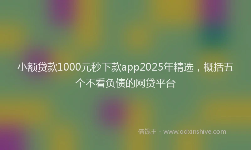 小额贷款1000元秒下款app2025年精选，概括五个不看负债的网贷平台