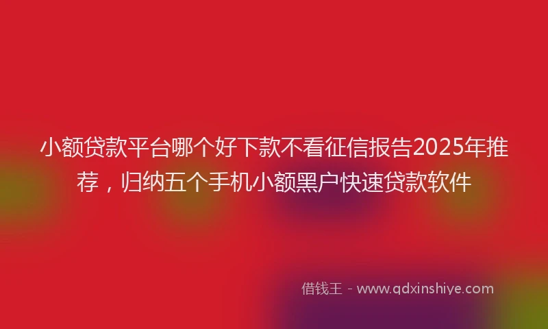 小额贷款平台哪个好下款不看征信报告2025年推荐，归纳五个手机小额黑户快速贷款软件