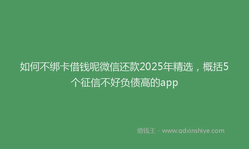 如何不绑卡借钱呢微信还款2025年精选，概括5个征信不好负债高的app