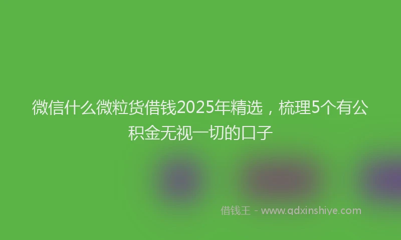 微信什么微粒货借钱2025年精选，梳理5个有公积金无视一切的口子