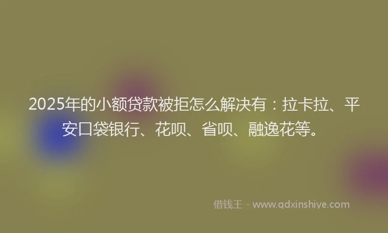 2025年的小额贷款被拒怎么解决有：拉卡拉、平安口袋银行、花呗、省呗、融逸花等。