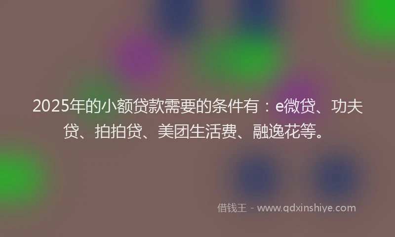 2025年的小额贷款需要的条件有：e微贷、功夫贷、拍拍贷、美团生活费、融逸花等。