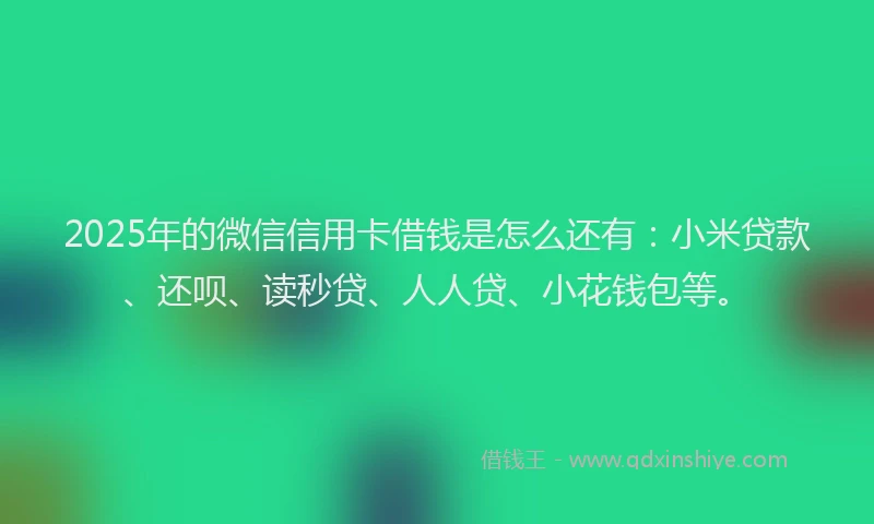 2025年的微信信用卡借钱是怎么还有：小米贷款、还呗、读秒贷、人人贷、小花钱包等。