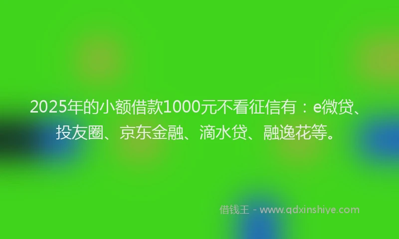 2025年的小额借款1000元不看征信有：e微贷、投友圈、京东金融、滴水贷、融逸花等。