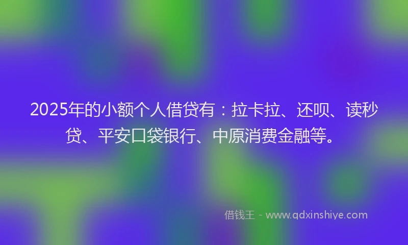 2025年的小额个人借贷有：拉卡拉、还呗、读秒贷、平安口袋银行、中原消费金融等。