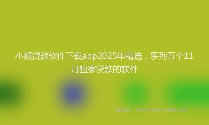 小额贷款软件下载app2025年精选，罗列五个11月独家贷款的软件