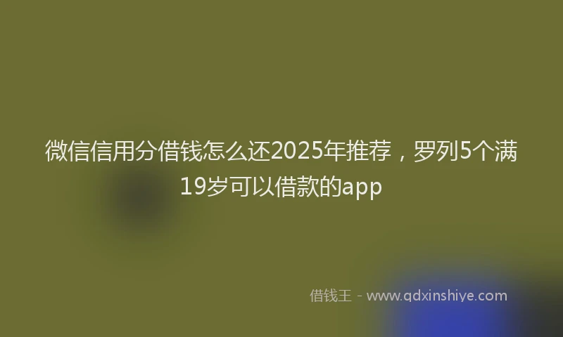 微信信用分借钱怎么还2025年推荐，罗列5个满19岁可以借款的app