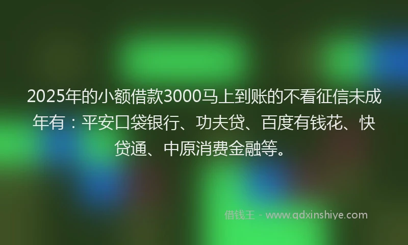 2025年的小额借款3000马上到账的不看征信未成年有：平安口袋银行、功夫贷、百度有钱花、快贷通、中原消费金融等。