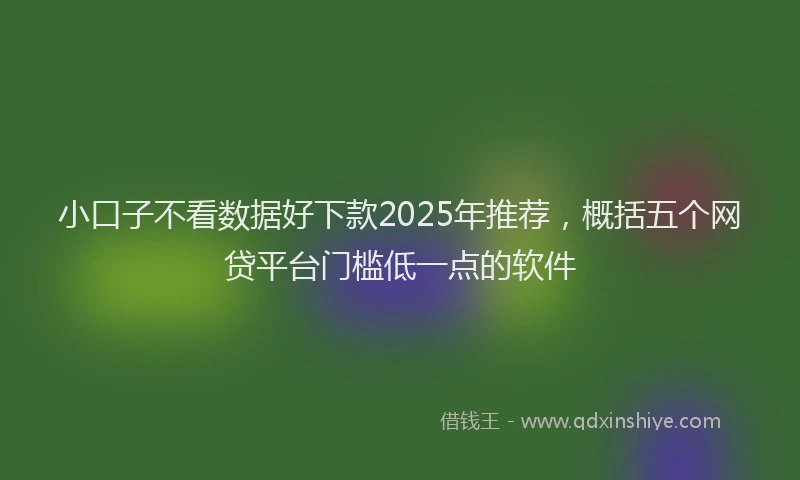 小口子不看数据好下款2025年推荐，概括五个网贷平台门槛低一点的软件