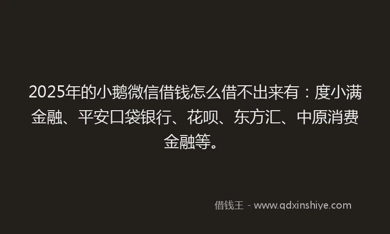 2025年的小鹅微信借钱怎么借不出来有：度小满金融、平安口袋银行、花呗、东方汇、中原消费金融等。