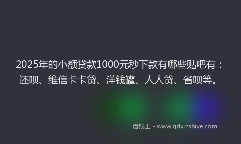 2025年的小额贷款1000元秒下款有哪些贴吧有：还呗、维信卡卡贷、洋钱罐、人人贷、省呗等。