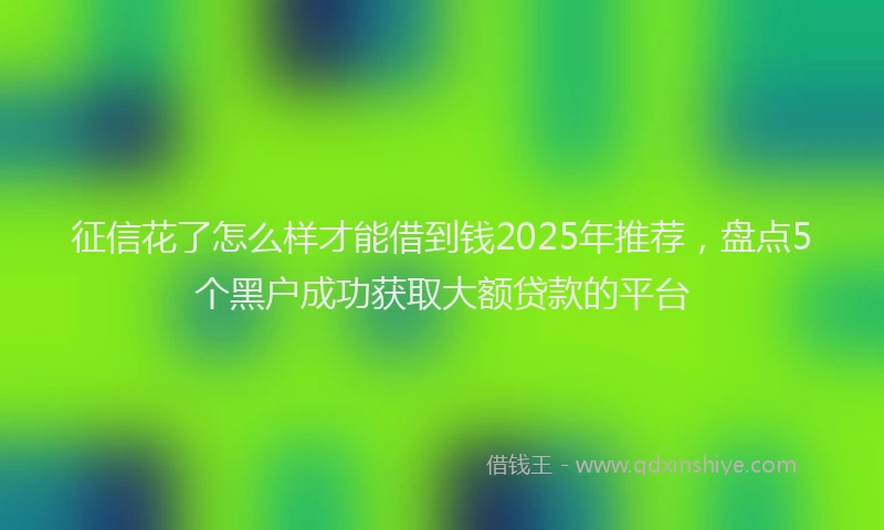 征信花了怎么样才能借到钱2025年推荐，盘点5个黑户成功获取大额贷款的平台
