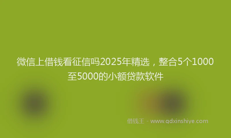 微信上借钱看征信吗2025年精选，整合5个1000至5000的小额贷款软件