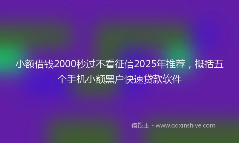 小额借钱2000秒过不看征信2025年推荐，概括五个手机小额黑户快速贷款软件
